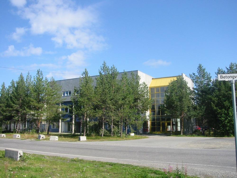 A low commercial building behind a row of birch trees